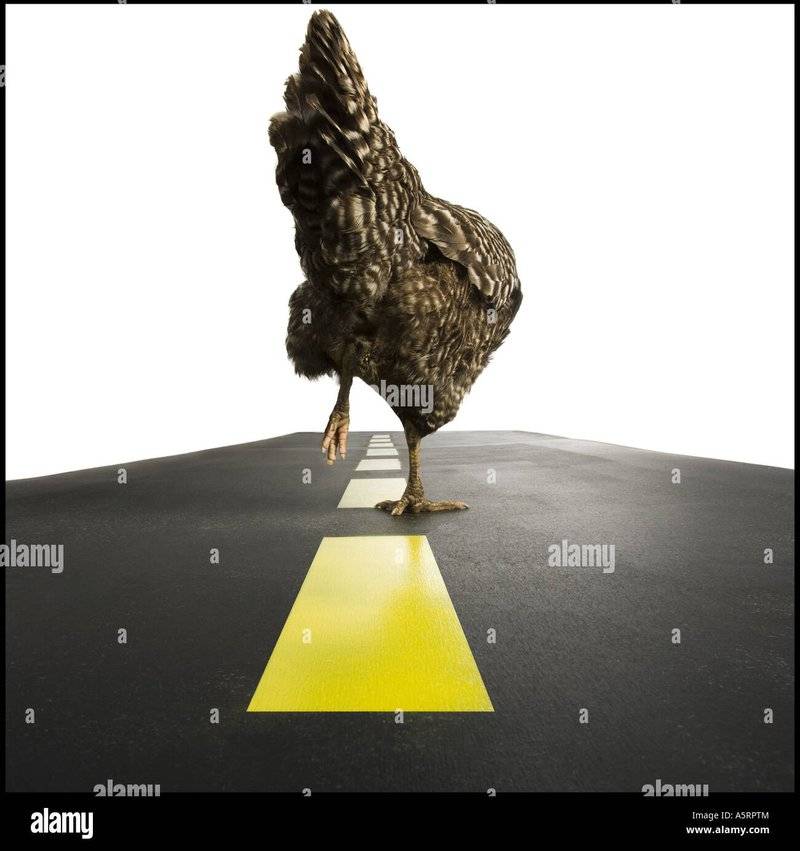 Image: Entdecken Sie das Spiel Chicken Road - Das Casino-Spiel für Deutschland Image: Entdecken Sie das Spiel Chicken Road - Das Casino-Spiel für Deutschland